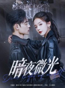 短剧《暗夜微光》86集短剧极速缓冲流畅观看