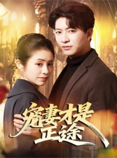 短剧《宠妻才是正途》83集短剧高清无删减版免费观看