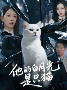 短剧《他的白月光是只猫》69集短剧1080P在线免费看