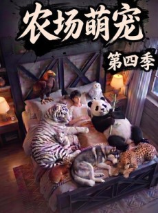 短剧《农场萌宠！第四季》80集短剧免费观看全季内容