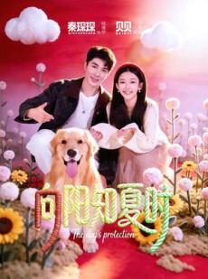 短剧《向阳知夏时》80集短剧完整版免费畅享