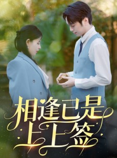 短剧《相逢已是上上签》30集短剧1080P高清画质在线观看