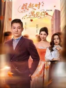 短剧《风起时遇见你》59集短剧在线解锁全集免费览