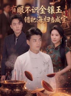短剧《有眼不识金镶玉错把海归当成宝》80集短剧全集免费在线观看无广告