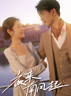 短剧《夜来南风起》86集短剧蓝光画质无广告观看