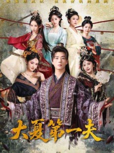 短剧《大夏第一夫》90集短剧全集高清版免费观看
