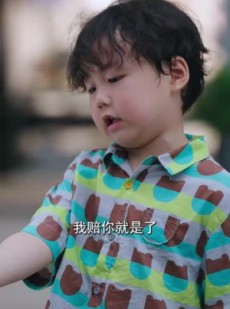 短剧《南书知我意》80集短剧完整剧情在线免费欣赏