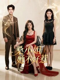 短剧《桑小姐她不好惹》103集短剧超清画质畅享全集