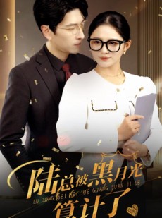 短剧《陆总被黑月光算计了》93集短剧高清流畅版在线免费观看