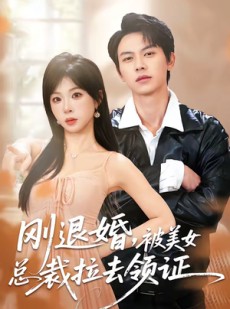 短剧《刚退婚，被美女总裁拉去领证》81集短剧全集在线免费看个够
