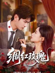 短剧《绸红玫瑰》86集短剧高清无删减版免费观看