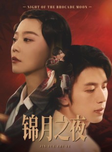 短剧《锦月之夜》79集短剧高清流畅在线免费看
