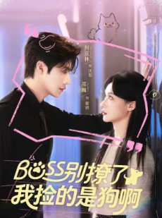 短剧《Boss别撩了，我捡的是狗呀》65集短剧免费看完整大结局