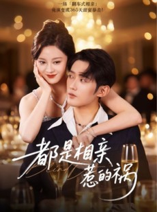 短剧《都是相亲惹的祸》72集短剧免费高清在线看全集