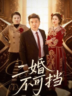 短剧《二婚不可挡》36集短剧无删减全集在线观看