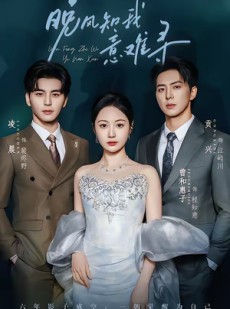 短剧《晚风知我意难寻》60集短剧超清画质免费看全集