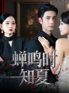短剧《蝉鸣时知夏》64集短剧免费在线看完整剧情