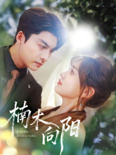 短剧《楠木向阳》70集短剧在线畅享全集无广告