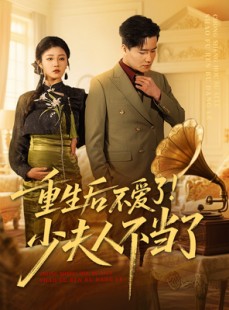 短剧《重生后不爱了少夫人不当了》66集短剧全集资源网盘分享