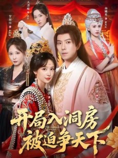 短剧《开局入洞房，被迫争天下》88集短剧超清画质在线畅看