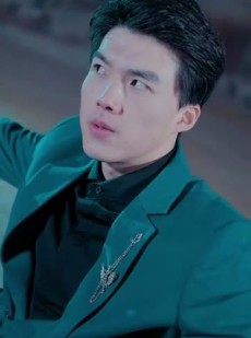 短剧《下山后美女总裁找上门》90集短剧全集高清极速播放