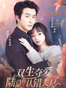 短剧《双生夺爱陆总你认错夫人了》94集短剧全集高清极速观看