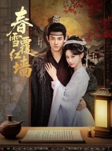 短剧《春雪覆红墙》84集短剧完整版资源免费在线看