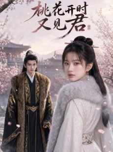 短剧《桃花开时又见君》49集短剧在线高清全集免费享