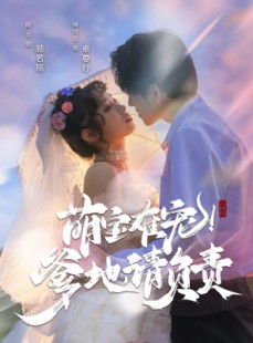 短剧《萌宝难宠爹地请负责》80集短剧全屏模式舒适观看