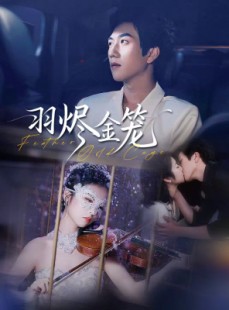 短剧《羽烬金笼》74集短剧全集免费在线观看