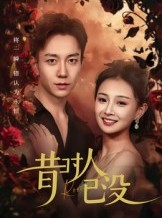 短剧《昔时人已没》60集短剧高清画质免费畅享观看