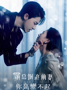 短剧《霸总倒追前妻你高攀不起》81集短剧全集无广告在线畅看