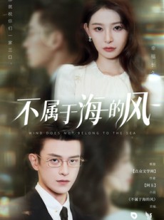短剧《不属于海的风》40集短剧全集免费流畅播放
