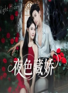 短剧《夜色藏娇》65集短剧在线观看无广告干扰