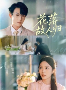 短剧《花落故人归》66集短剧高清版手机在线观看