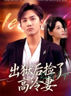 短剧《出狱后捡了高冷妻》71集短剧1080P超清画质畅看全集