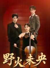 短剧《野火未央》40集短剧高清无删减在线观看