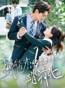 短剧《枫城奇才：传承加身踏清北》80集短剧1080P超清免费看