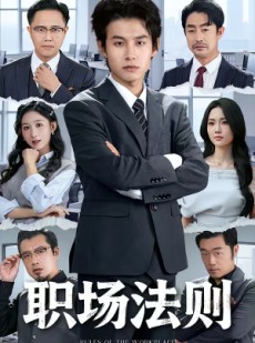 短剧《职场法则》79集短剧全集资源免费看