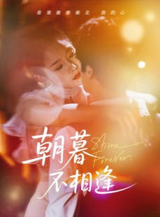 短剧《朝暮不相逢》72集短剧VIP内容免费畅享
