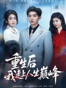 短剧《重生后我走上人生巅峰》80集短剧1080P在线免费观影