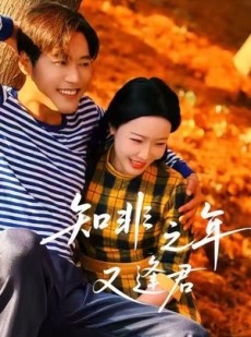 短剧《知非之年又逢君》62集短剧1080P高清全集在线观看