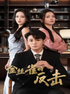 短剧《金丝雀的反击》33集短剧官方正版高清在线观看