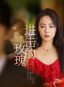 短剧《进击的玫瑰》82集短剧独家资源在线免费观看