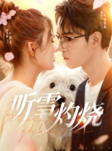 短剧《听雪灼烧》68集短剧高清全集免费在线赏