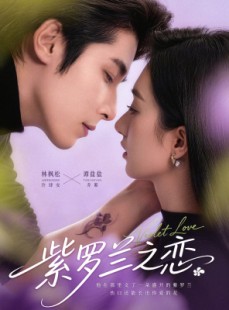 短剧《紫罗兰之恋》82集短剧无广告免费看全集