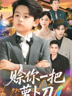 短剧《赊你一把萝卜刀》80集短剧高清无删减在线观看