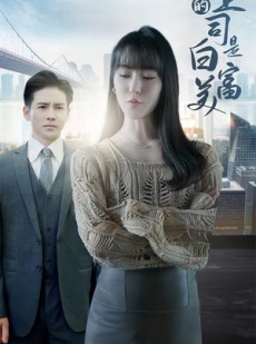 短剧《我的上司是白富美》88集短剧无广告完整版在线观看