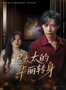 短剧《迟太太的华丽转身》80集短剧完整高清免费在线赏