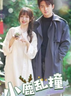 短剧《小鹿乱撞》40集短剧独家资源在线免费畅看